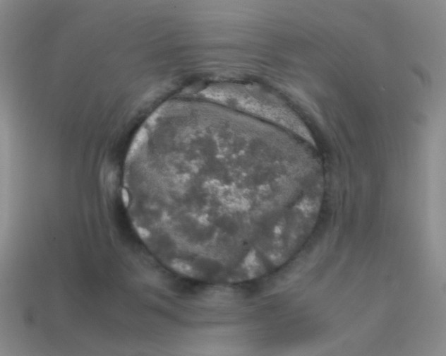 X0000113600123200910091528