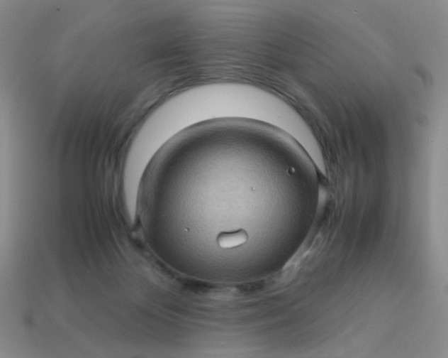 X0000113600124200910091528