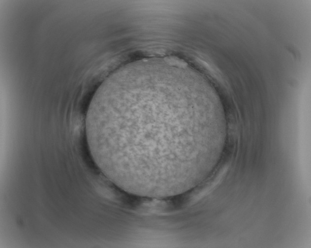 X0000113600125200910091528