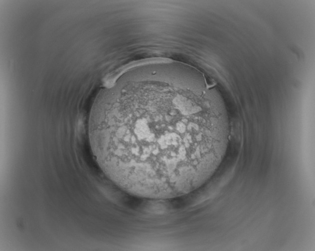 X0000113600127200910091528