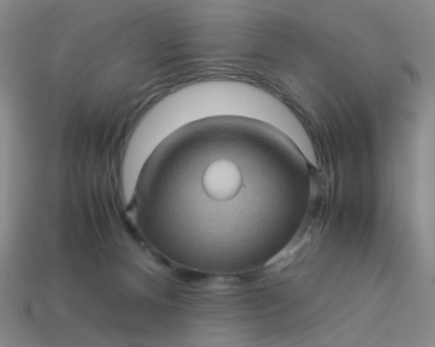 X0000113600128200910091528