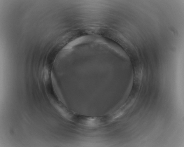 X0000113600130200910091528