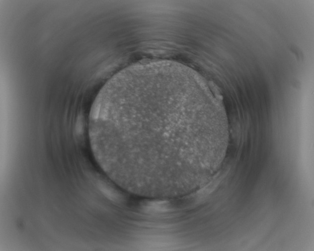 X0000113600132200910091528