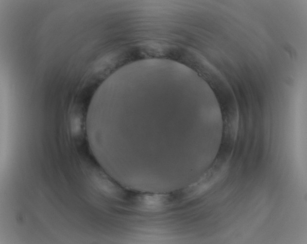 X0000113600134200910091528