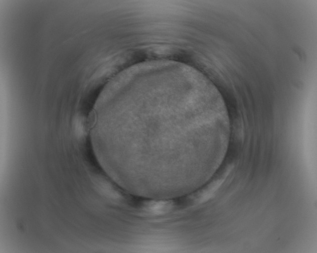 X0000113600135200910091528