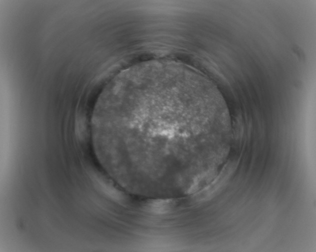 X0000113600136200910091528