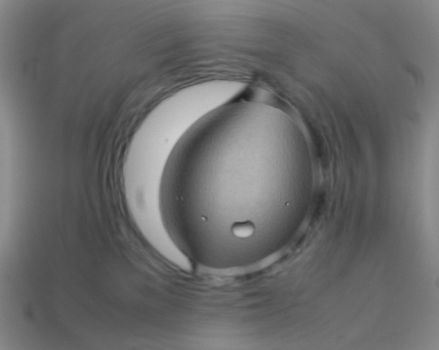 X0000113600137200910091528