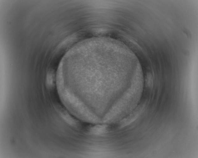 X0000113600138200910091528