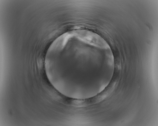 X0000113600139200910091528