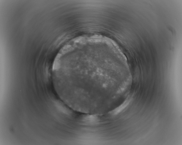 X0000113600140200910091528