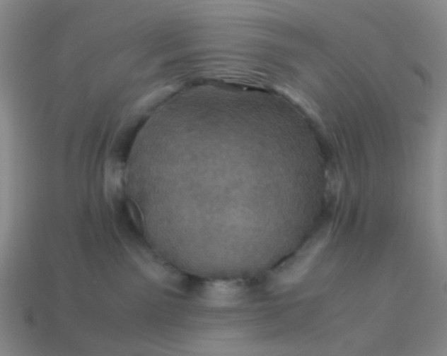 X0000113600141200910091528