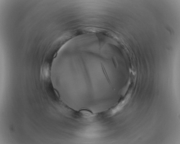 X0000113600143200910091528