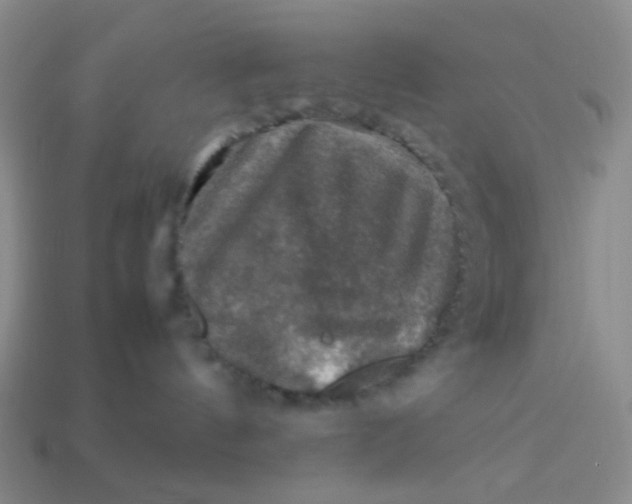 X0000113600144200910091528