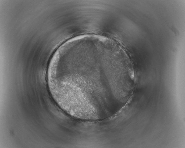 X0000113600146200910091527