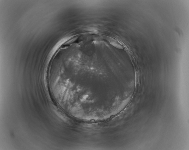 X0000113600147200910091527