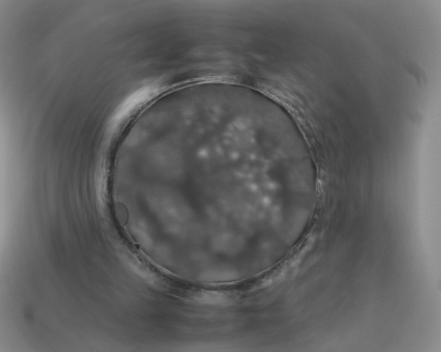 X0000113600149200910091527