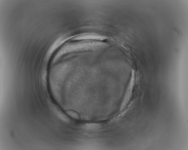 X0000113600150200910091527