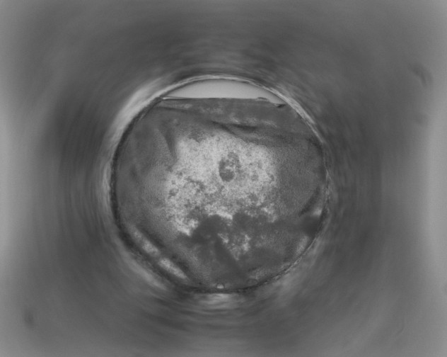 X0000113600151200910091527