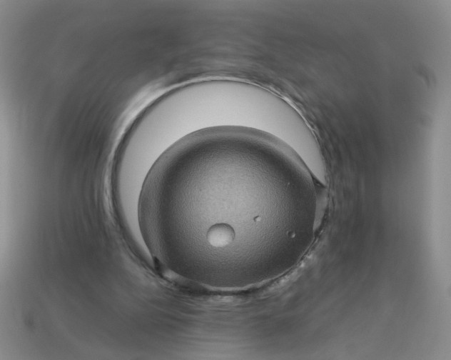 X0000113600152200910091527