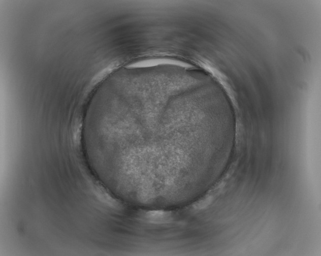 X0000113600153200910091527