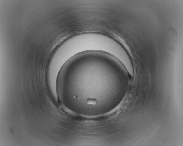 X0000113600154200910091527