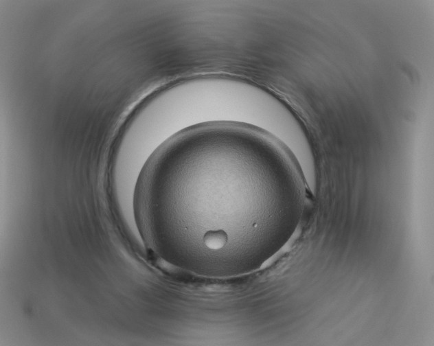 X0000113600156200910091527