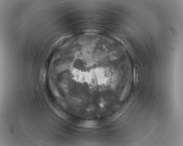 X0000113600157200910091527