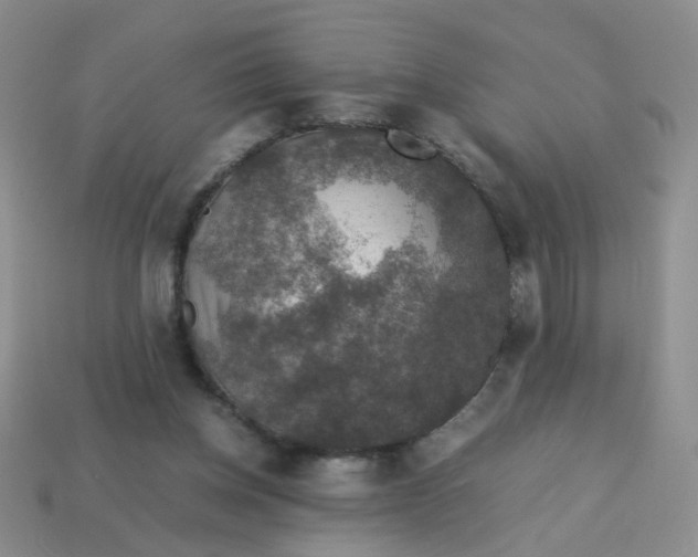 X0000113600158200910091527