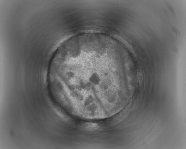 X0000113600159200910091527