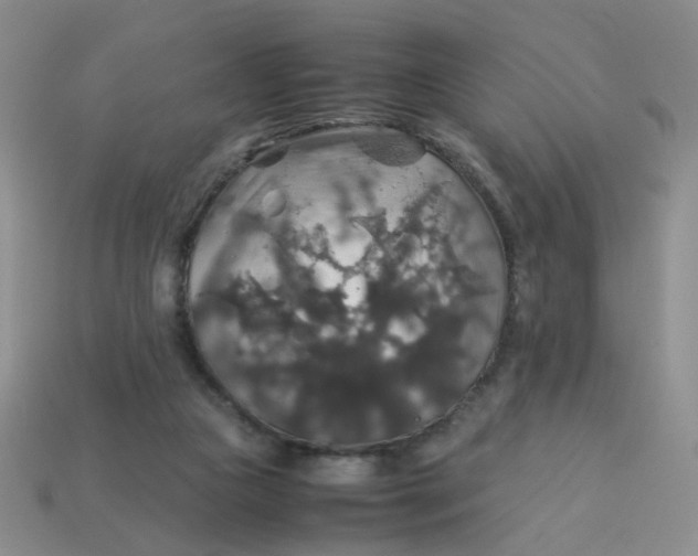 X0000113600161200910091527