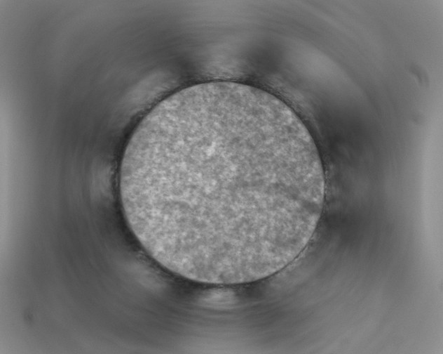 X0000113600162200910091527