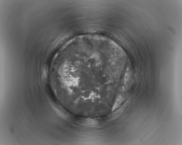 X0000113600166200910091527