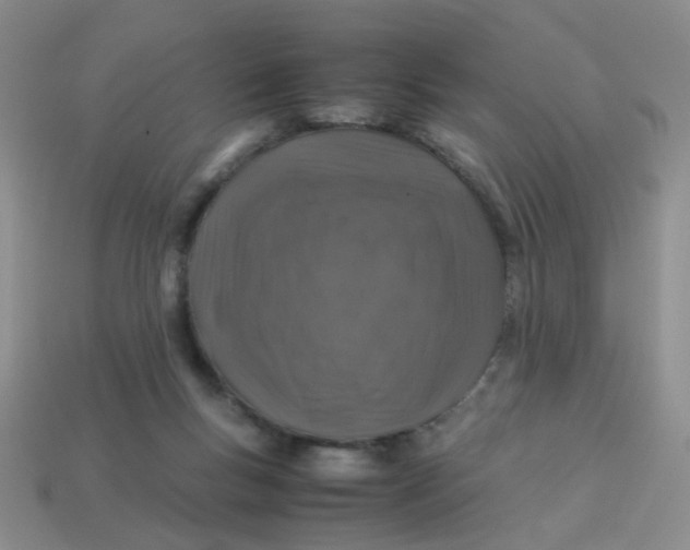 X0000113600167200910091527