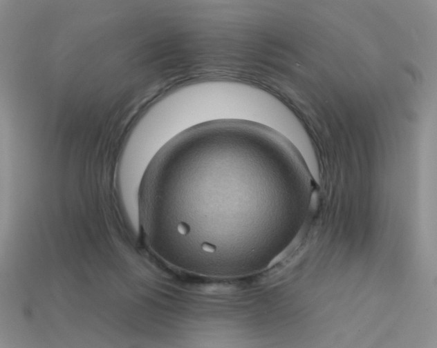 X0000113600168200910091527