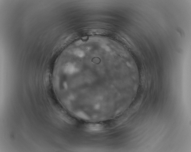 X0000113600169200910091528