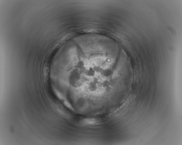 X0000113600171200910091528