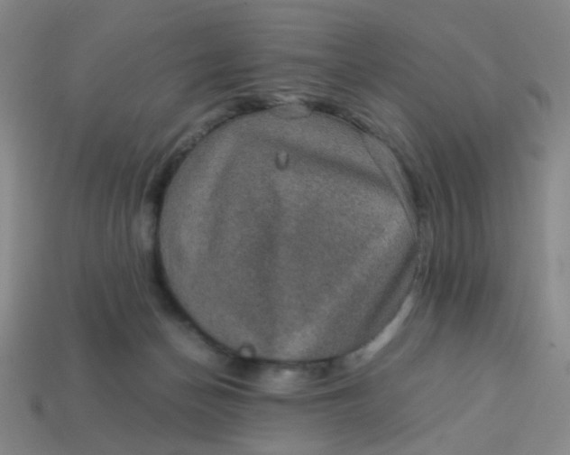 X0000113600174200910091528