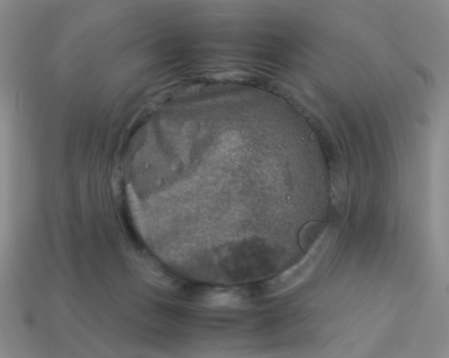 X0000113600175200910091528