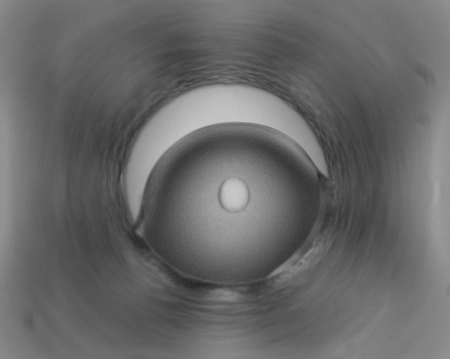 X0000113600176200910091528