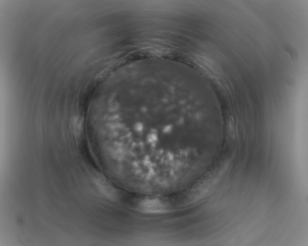 X0000113600177200910091528