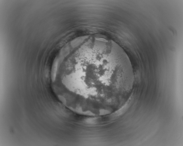 X0000113600178200910091528