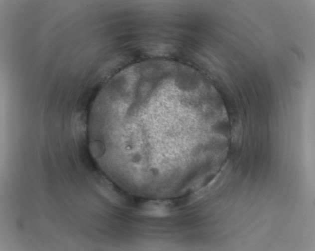 X0000113600179200910091528