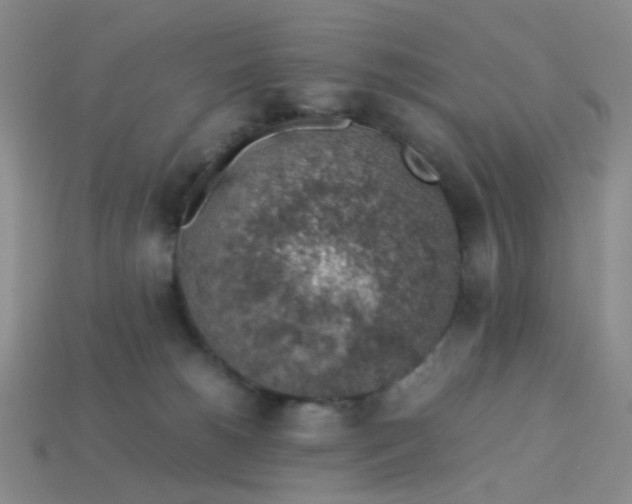 X0000113600180200910091528