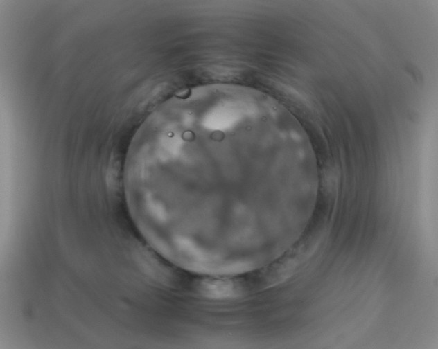 X0000113600181200910091528