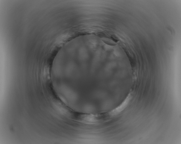 X0000113600182200910091528