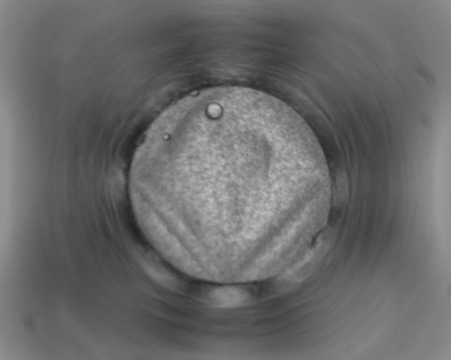 X0000113600183200910091528