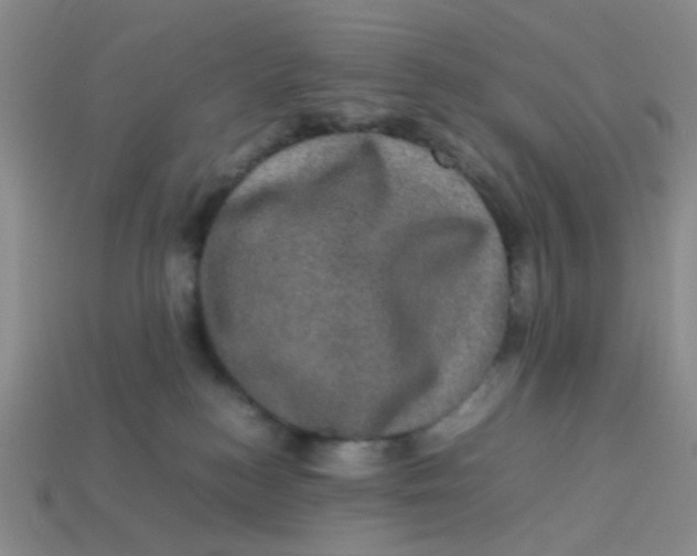 X0000113600184200910091528