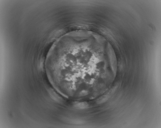 X0000113600185200910091528