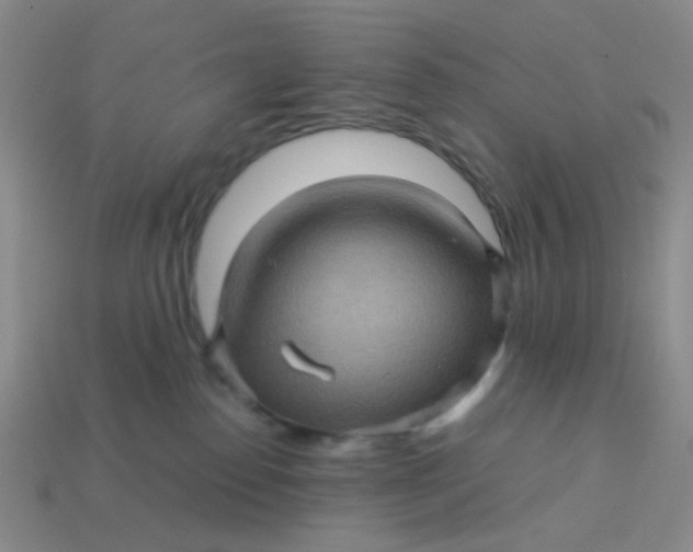 X0000113600186200910091528