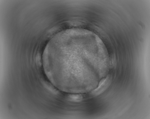 X0000113600187200910091528